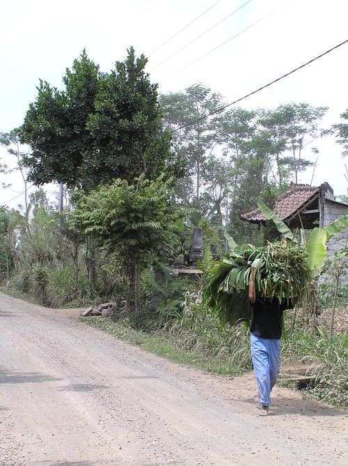 2005_indonesiatrip_288_2